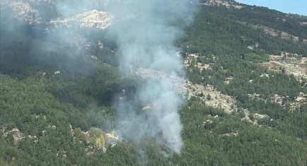 Muğla’daki Orman Yangını Kısa Sürede Kontrol Altına Alındı