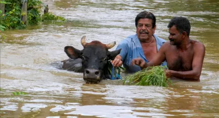 Sri Lanka’yı vuran felaket: Şiddetli yağışlar ve heyelan 47 can aldı