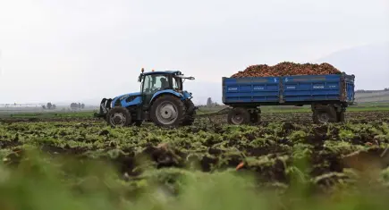 Buğday Derneği’nden çocuklara Ekolojik Yaşam Atölyeleri