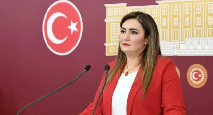 Milletvekili Kılıç: Uluslararası bir karanlığın dosyası