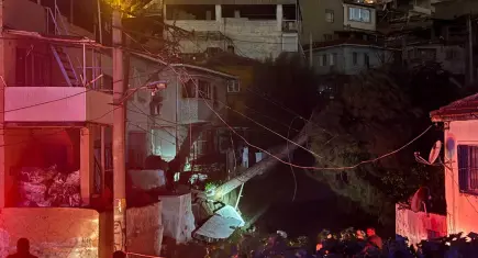 İzmir'de fırtına yangın çıkardı: Ağaç elektrik tellerinin üzerine devrildi!