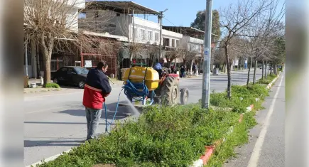 Menderes’te ot ilaçlamaları başladı