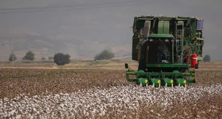 BCI Sertifikasına devlet desteği