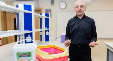 Ceviz kabuğundan doğal ve sağlıklı kedi kumu