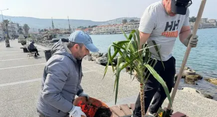 Foça’da kent estetiği yenileniyor