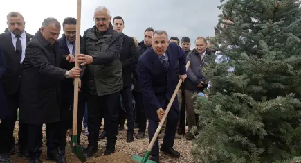 İzmir’de Orman Haftası’nda 100 bin fidan dikildi