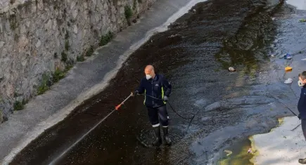 Bahar sinekleri için uzmanlardan endişe etmeyin uyarısı