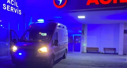 Van’da sahipsiz köpek saldırısı: 5 yaşındaki çocuk hayatını kaybetti