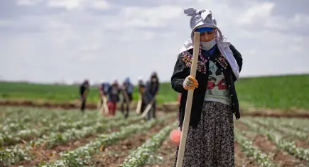 Çiftçi-Sen’den 14 Mayıs tepkisi: “Şirketlerin günü çiftçinin günü olamaz”