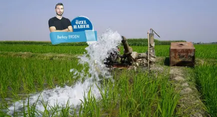 Çiftçi rehavete kapılmamalı