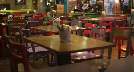 Restoran ve kafelerde evcil hayvanlara kapsamlı yasak gündemde
