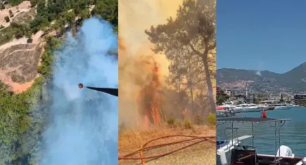 Antalya’da orman yangını! Alanya’da ormanlık alan alevlere teslim oldu
