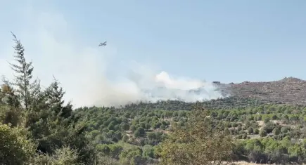 İzmir haber: Ödemiş'teki orman yangını kontrol altında