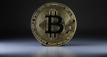 Kripto para borsasının sahibi tutuklandı