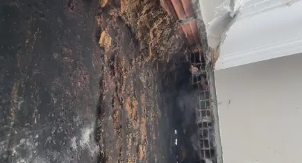 Avcılar'da şaşırtan görüntü: Duvarın içinden 25 kilo bal çıktı