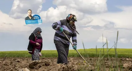 Tarlada üretim rekor kırdı, çiftçinin cebi boş kaldı