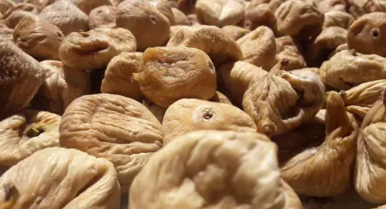 Kuru incirde yeni sezon başlıyor: İlk ihraç tarihi 28 Eylül