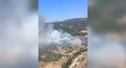 Balıkesir'de orman yangını