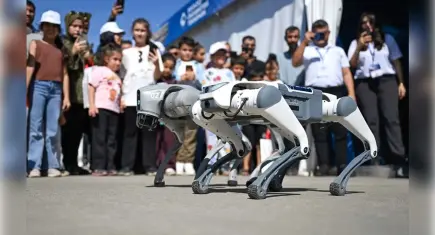 TEKNOFEST’te robotlardan renkli gösteri: Birlikte dans edip oyun oynadılar