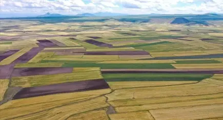 Resmî Gazete'de yayımlandı: İzmir'in o ilçesinde arazi toplulaştırması kararı!