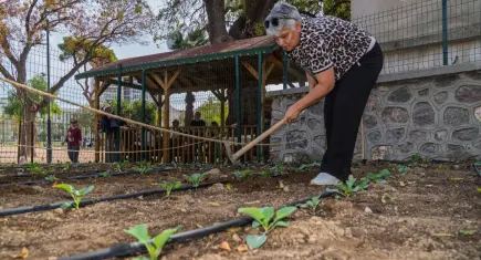 Hafızasını kaybetti, mahalle bostanında yeniden umut buldu