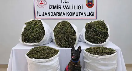 İzmir haber: Tire’de uyuşturucu operasyonu! 54 kilo yasaklı madde ele geçirildi