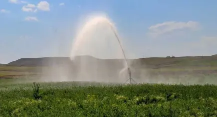 Tarlada dijital dönüşüm: Damla sulamayla su ve elektrik tasarrufu!
