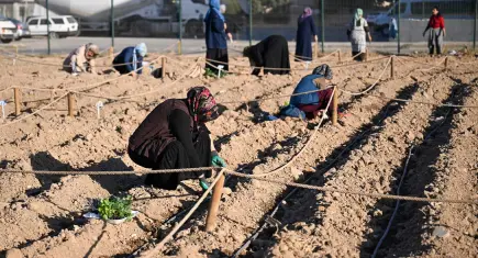 Bornova’da Türkiye’nin ilk karbon sıfır kent bostanı üretime başladı