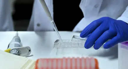 Uluslararası yasa dışı üreme hücresi ticareti çetesine dev operasyon:36 gözaltı