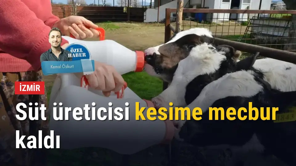 Sütte fiyat makası açıldı üretici kesime mecbur kaldı
