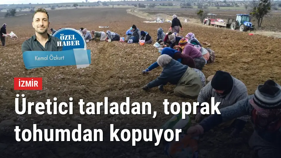 Üretici tarladan, toprak tohumdan kopuyor
